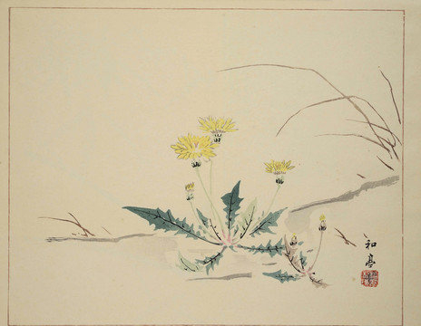 蒲公英图花卉装饰画