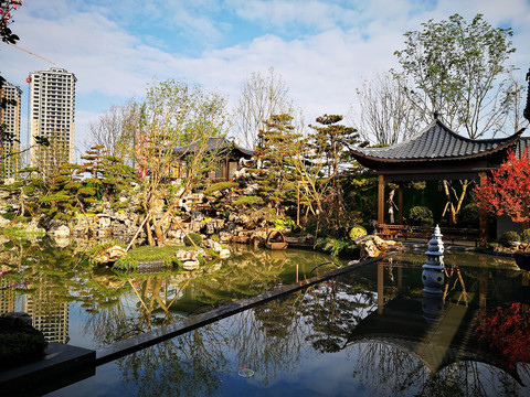 小区水景