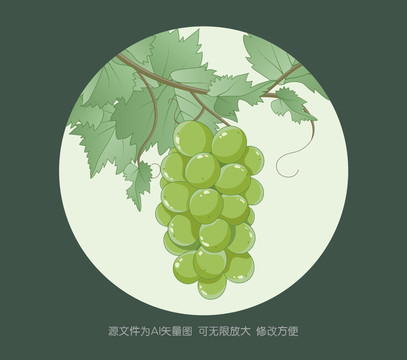 陽(yáng)光玫瑰插畫(huà)