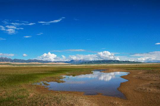 青海湖畔草原湿地的自然风光