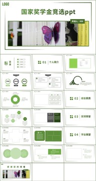 简约风奖学金竞选PPT模板