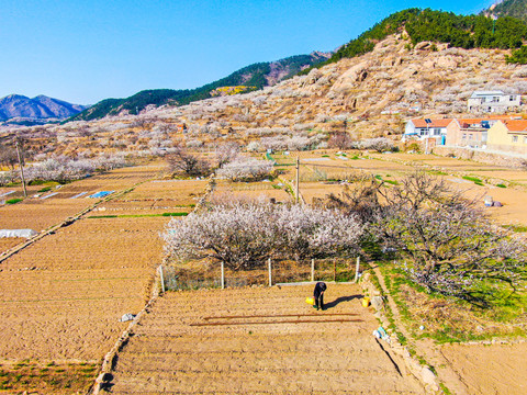 田园风光