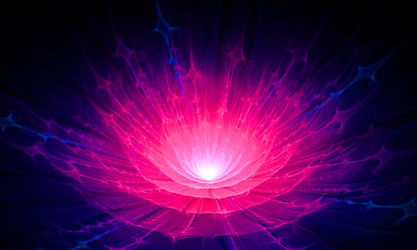 夢(mèng)幻花