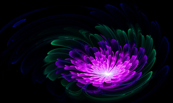 夢(mèng)幻花