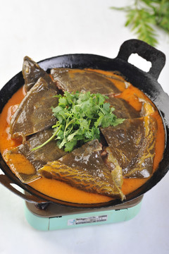 野生甲魚鍋仔