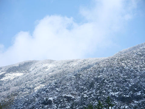 山上的雪