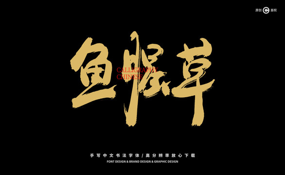 魚腥草