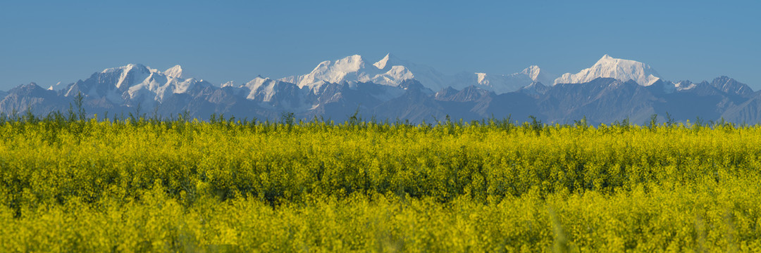 雪山