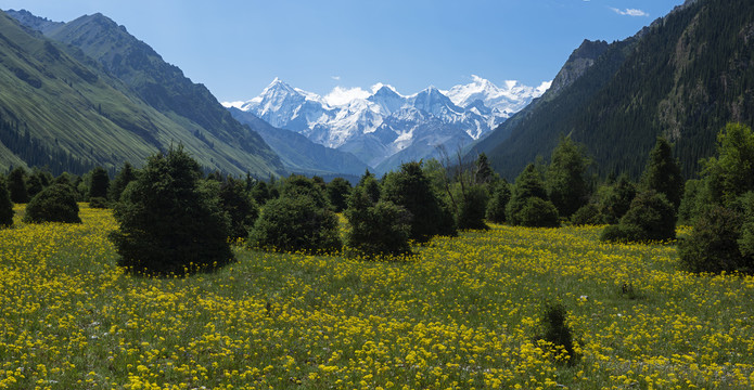 雪山