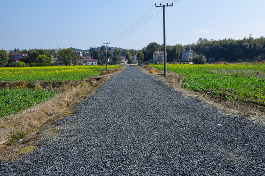 乡村振兴