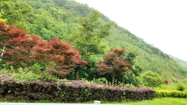 路边风景