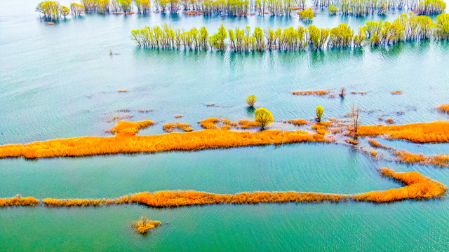 春天河面