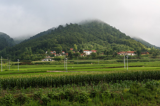 钱河湿地