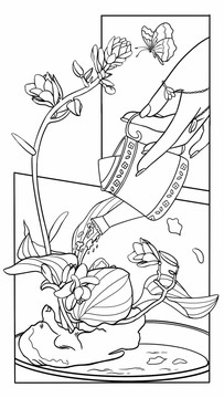 玉簪花七月花神海報(bào)包裝插畫