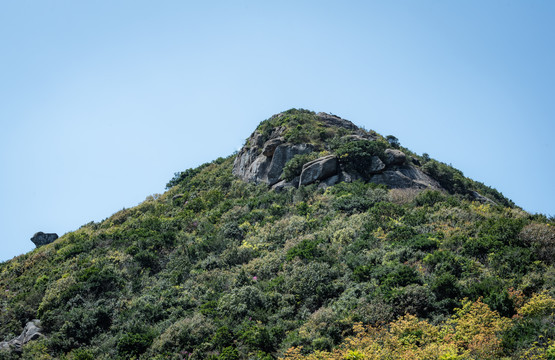 朱家尖大青山国家公园