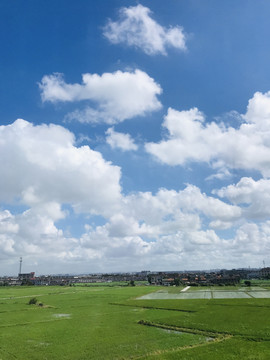 夏日天空