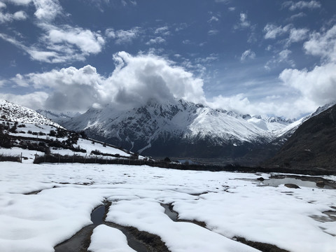 雪景