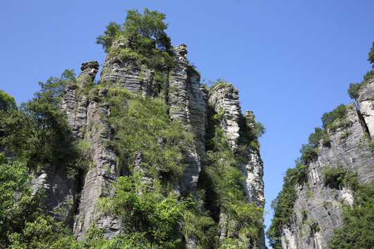 黄鹤峰林景区