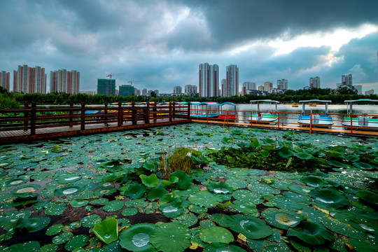 济宁南池公园