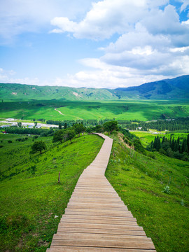 新疆塔里木观景栈道