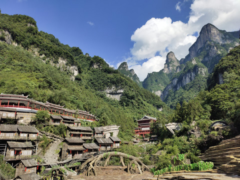 大山里的天门狐仙大剧场