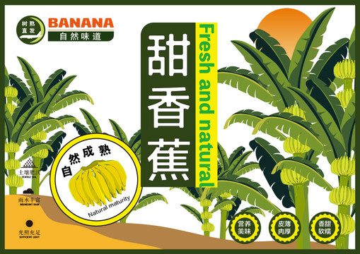 香蕉包裝插畫設計