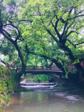 乡村美景