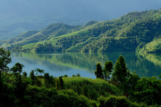 绿水青山