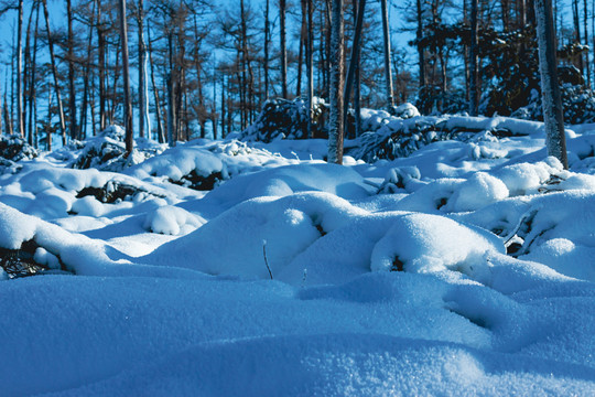 雪原森林蓝天