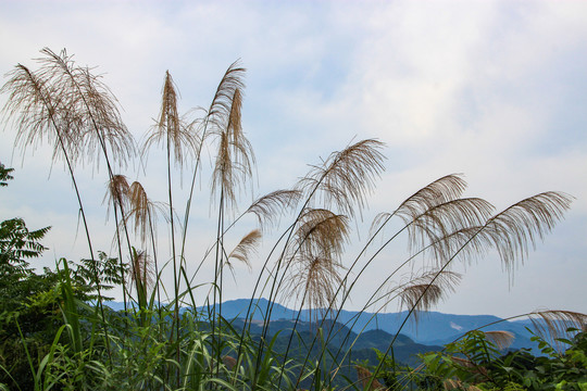 宁波四明山