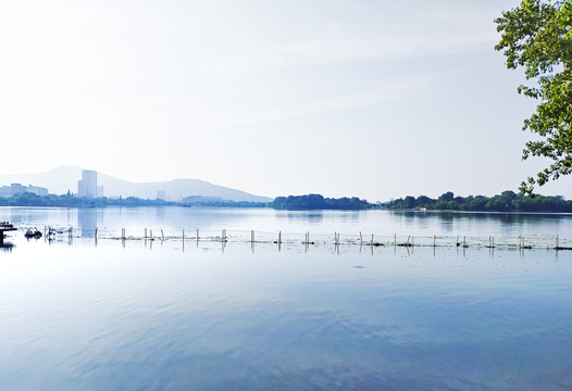 湖岸风光