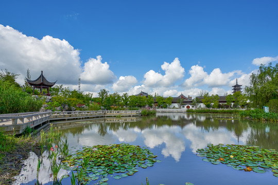 上海青浦青溪公园