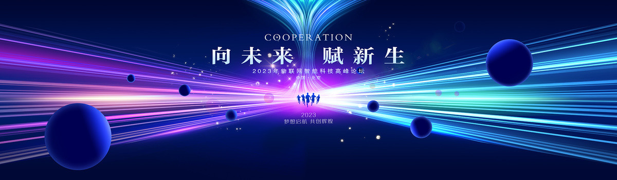高峰論壇