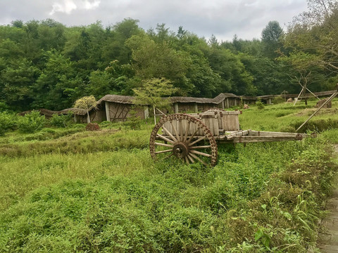 风吹草没曾有梦