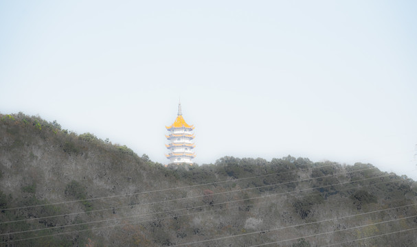 岱山县城市景观