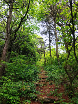 登山步道