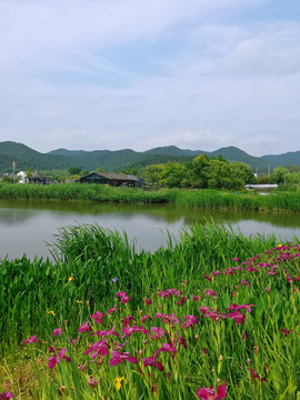 东钱湖美景