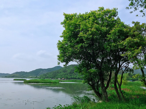 东钱湖美景