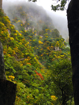 云海山