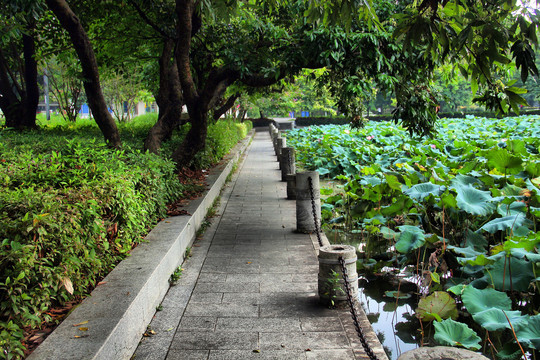 广西大学