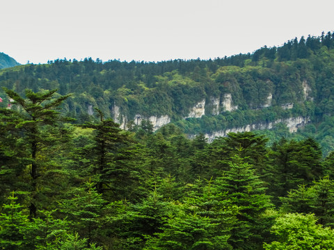 峨眉山山景