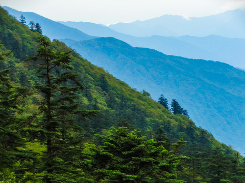 峨眉山山景