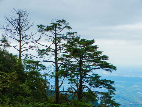 峨眉山山景