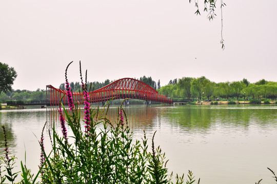台湖公园景观桥