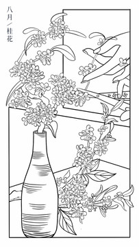 桂花八月花神海報包裝插畫