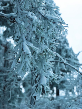 冰雪世界