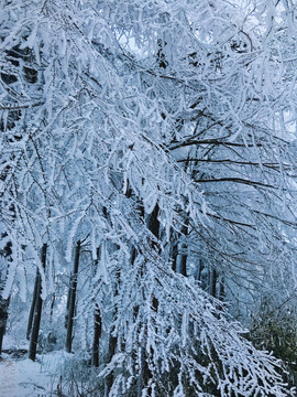 冰雪世界