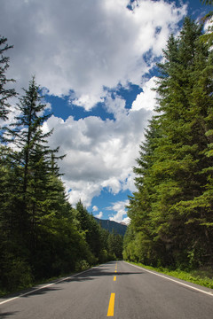 公路背景素材