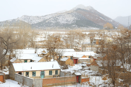 农村下大雪