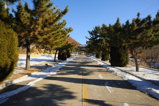 景区道路